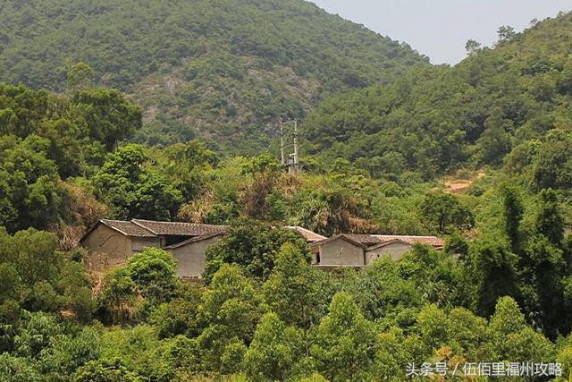 福州市有几个森林公园（福州五大国家级森林公园）(40)