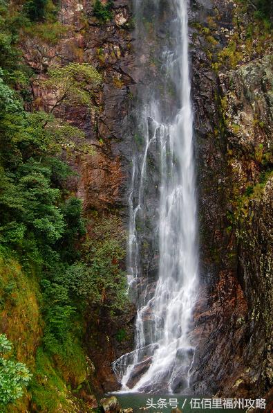 福州市有几个森林公园（福州五大国家级森林公园）(25)