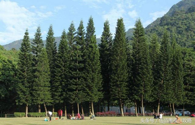 福州市有几个森林公园（福州五大国家级森林公园）(7)