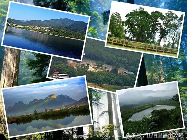 福州市有几个森林公园（福州五大国家级森林公园）(3)
