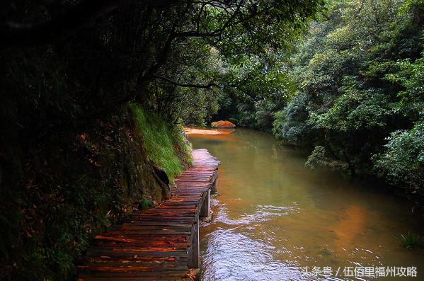 福州市有几个森林公园（福州五大国家级森林公园）(24)