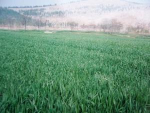 江苏省徐州市铜山区简介（江苏省徐州市铜山区）(25)