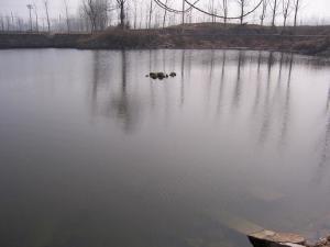 江苏省徐州市铜山区简介（江苏省徐州市铜山区）(24)