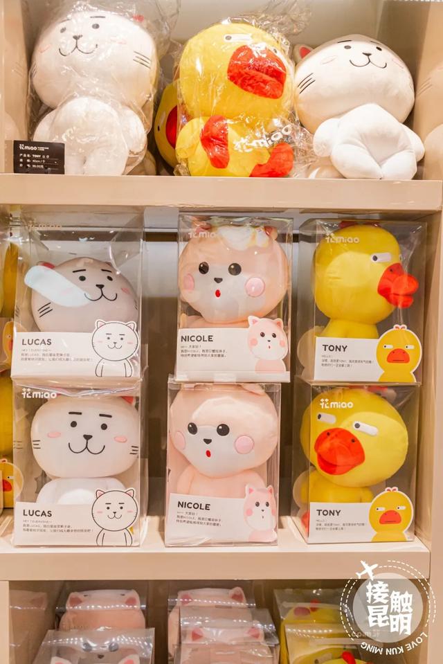 云南真正好吃的鲜花饼（还没有试过刷爆朋友圈的云南人真正好鲜花饼）(35)