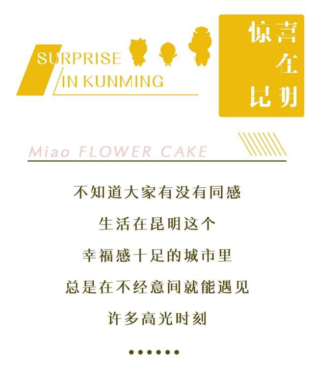 云南真正好吃的鲜花饼（还没有试过刷爆朋友圈的云南人真正好鲜花饼）(2)