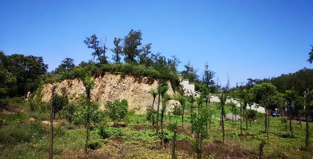 北京文化事件（北京文化内部失控）(1)