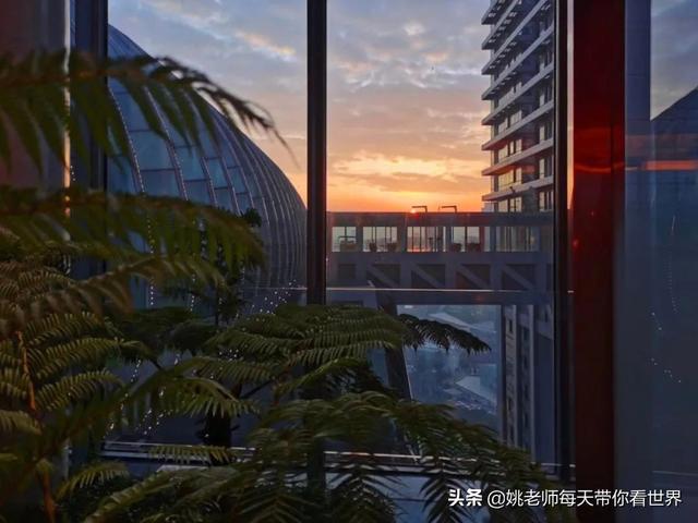 重庆 洲际（46张图带你全景揭秘重庆来福士洲际）(9)