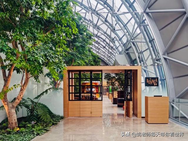 重庆 洲际（46张图带你全景揭秘重庆来福士洲际）(10)