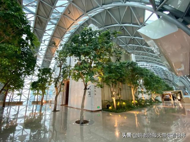 重庆 洲际（46张图带你全景揭秘重庆来福士洲际）(8)