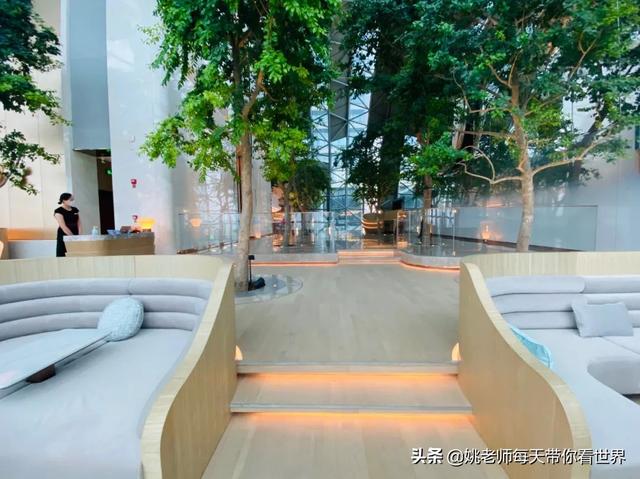 重庆 洲际（46张图带你全景揭秘重庆来福士洲际）(7)