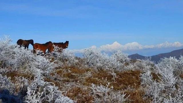 成都附近最好玩的风景区（成都周边景色绝佳的360）(10)