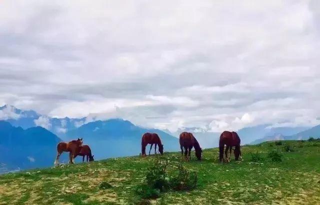 成都附近最好玩的风景区（成都周边景色绝佳的360）(20)