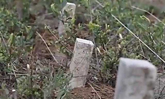 殡仪馆无人认领的女尸（1995年东莞殡仪馆女尸）(3)