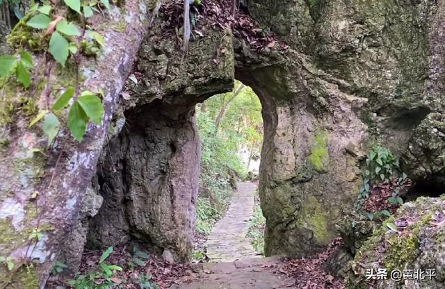 云南文山马关县苗族（云南文山州麻栗坡县境内有一个神秘部落）(1)