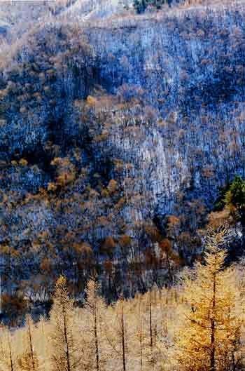 怀安县属于哪个市(河北怀安县属于哪个市)