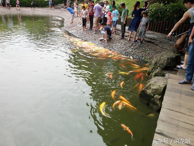 深圳世界之窗攻略自助游（旅游攻略深圳世界之窗）(7)