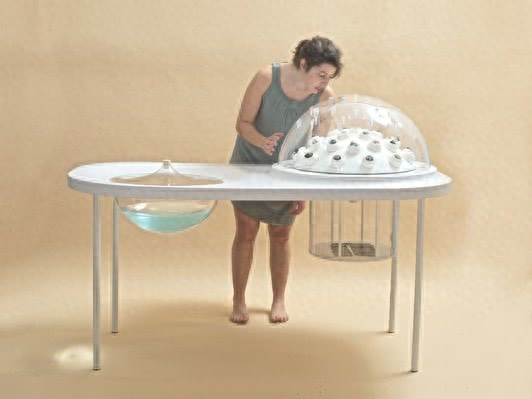 蘑菇是分解者吗(蘑菇属于分解者的原因)