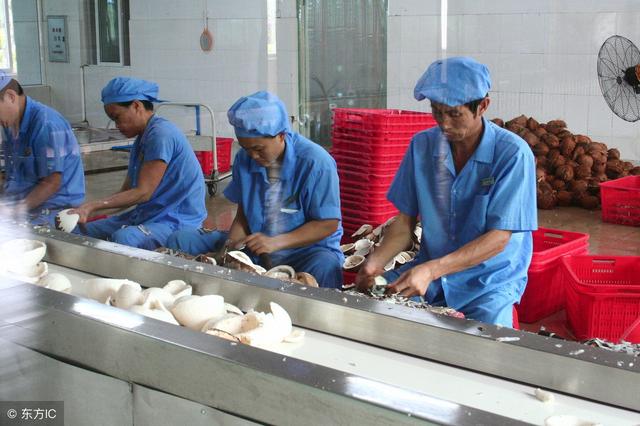 不愁销路的小工厂项目是哪些：小加工项目有哪些？