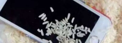 ​手机掉水里大米埋多久,手机掉水里大米埋多久能拿出来