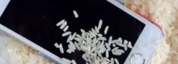 手机掉水里大米埋多久,手机掉水里大米埋多久能拿出来图1