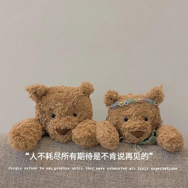 抖音最火的聊天背景图（再来一些热门文字控朋友圈背景图）(4)