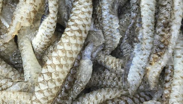 泡椒鱼皮的做法大全（泡椒鱼皮烹饪教程分享）