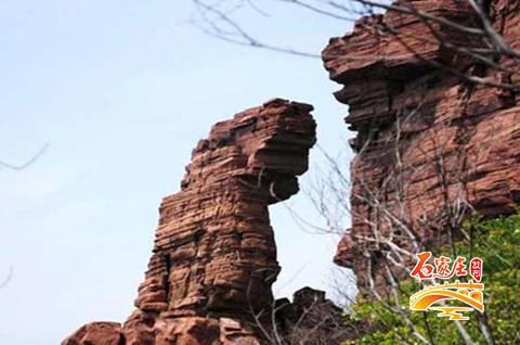 石家庄植被茂盛的山（石家庄最美山地风光之井陉锦山）(3)