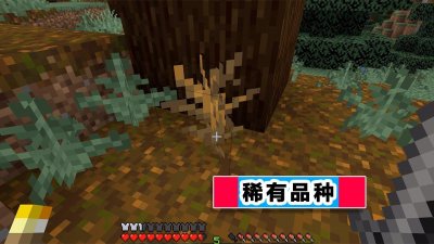 ​我的世界7张恶搞图，带你领略MC玩家的脑洞，一张比一张精彩