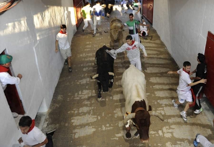 晒西班牙奔牛节 被狂牛戳穿裆部