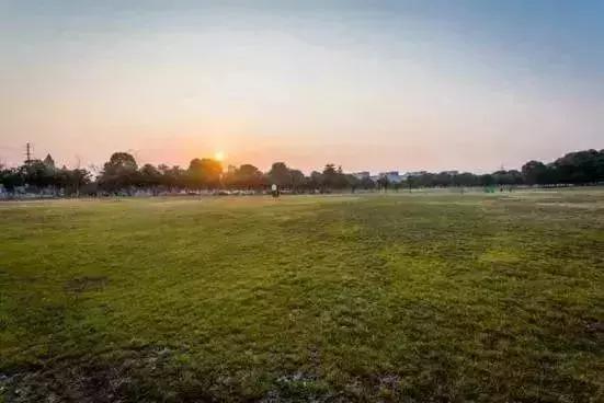 南京一日游必去十大景点（南京59个适合一日游的打卡景点）(52)