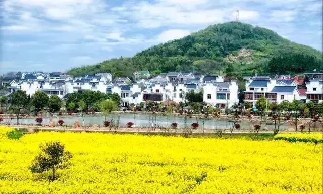 南京一日游必去十大景点（南京59个适合一日游的打卡景点）(69)