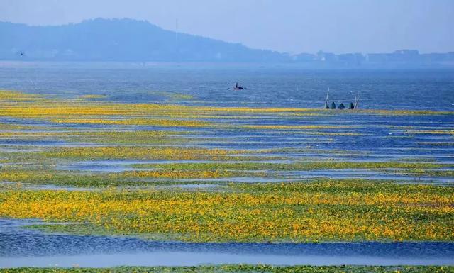 南京一日游必去十大景点（南京59个适合一日游的打卡景点）(61)