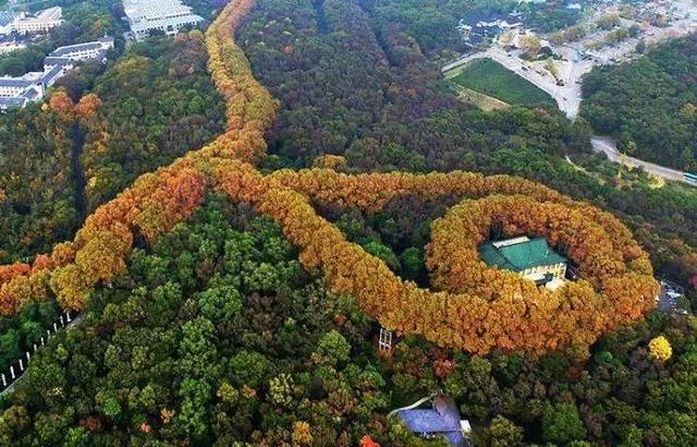 南京一日游必去十大景点（南京59个适合一日游的打卡景点）(29)