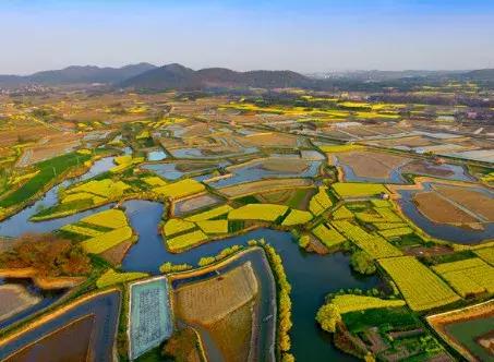 南京一日游必去十大景点（南京59个适合一日游的打卡景点）(68)