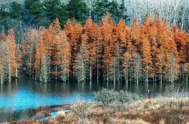 南京一日游必去十大景点（南京59个适合一日游的打卡景点）(57)