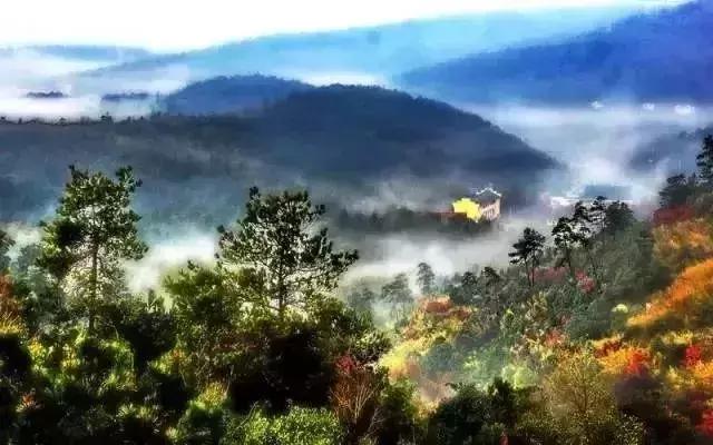 南京一日游必去十大景点（南京59个适合一日游的打卡景点）(60)