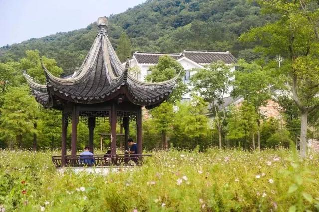 南京一日游必去十大景点（南京59个适合一日游的打卡景点）(43)