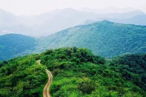 南京一日游必去十大景点（南京59个适合一日游的打卡景点）(42)