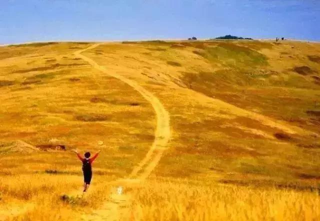 南京一日游必去十大景点（南京59个适合一日游的打卡景点）(56)