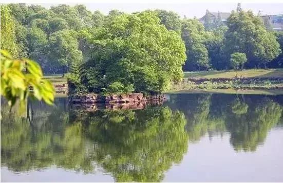 南京一日游必去十大景点（南京59个适合一日游的打卡景点）(63)