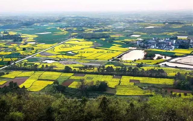 南京一日游必去十大景点（南京59个适合一日游的打卡景点）(66)