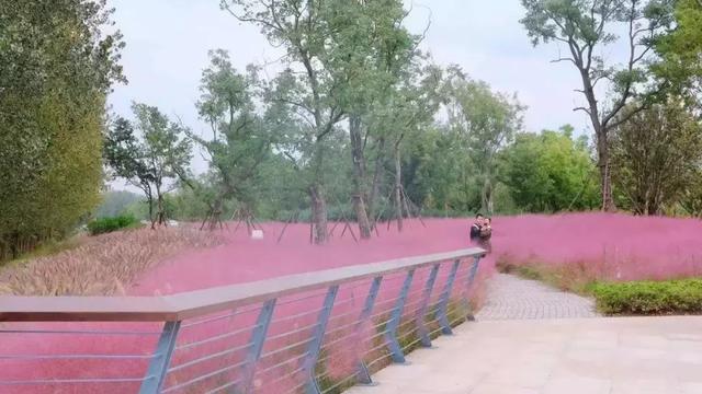 南京一日游必去十大景点（南京59个适合一日游的打卡景点）(37)