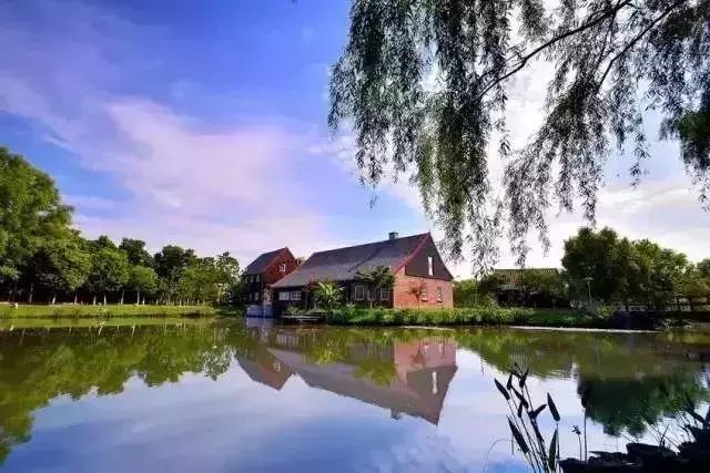 南京一日游必去十大景点（南京59个适合一日游的打卡景点）(38)