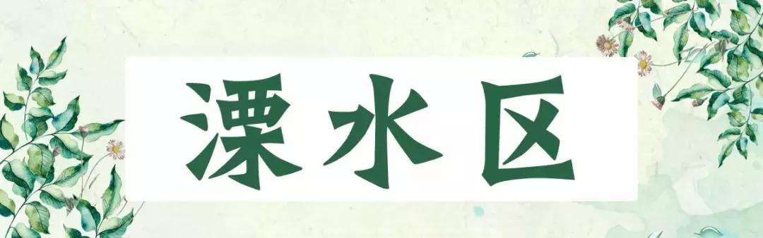 南京一日游必去十大景点（南京59个适合一日游的打卡景点）(59)