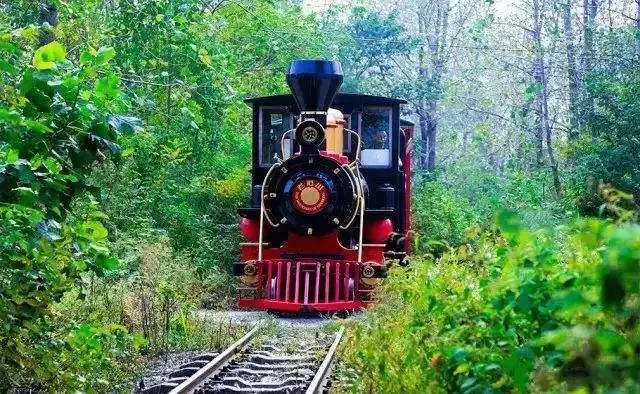 南京一日游必去十大景点（南京59个适合一日游的打卡景点）(54)