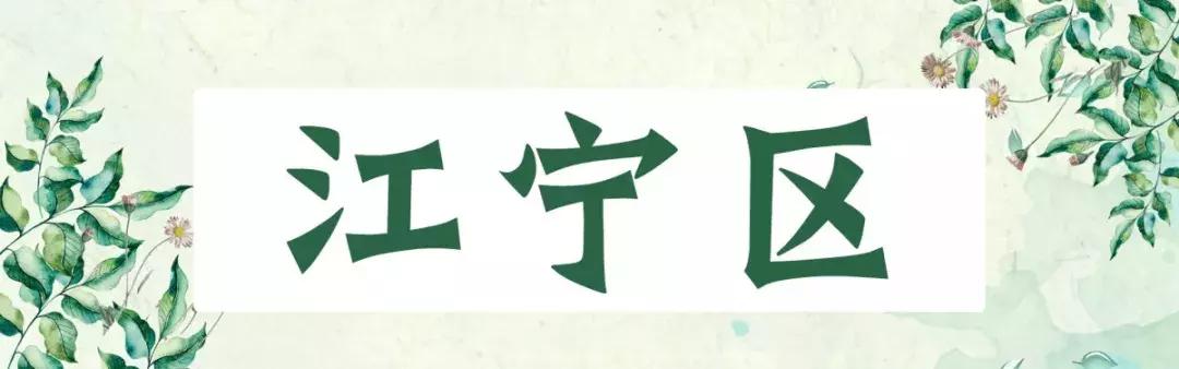 南京一日游必去十大景点（南京59个适合一日游的打卡景点）(46)
