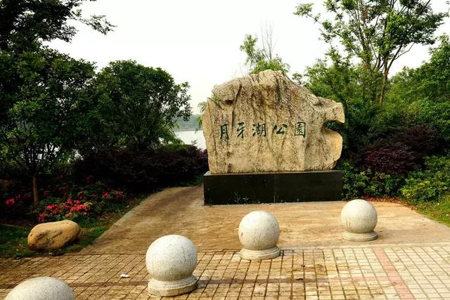 南京一日游必去十大景点（南京59个适合一日游的打卡景点）(20)