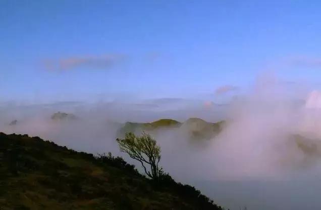 云浮旅游景点最值得去的地方（云浮最具本土文化特色的40个景点）(63)