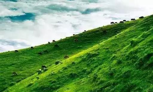 云浮旅游景点最值得去的地方（云浮最具本土文化特色的40个景点）(44)