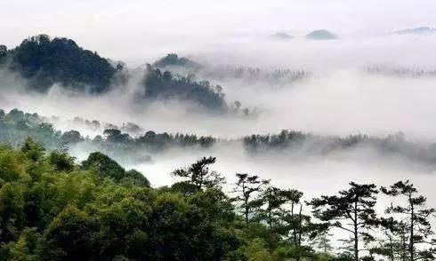 云浮旅游景点最值得去的地方（云浮最具本土文化特色的40个景点）(33)